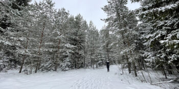 Актыўны турызм